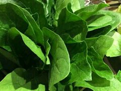 匙皮-手选潮汕鲜活牛肉火锅(二七广场店)