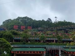 -枇杷园食为鲜火锅(南山店)