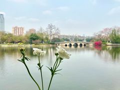 -东山湖公园