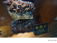 -青岛德国总督楼旧址博物馆