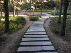 -长春公园(普阳街道)