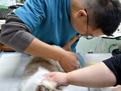 -纳吉亚猫专科动物医院博雅分院