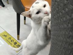 -蜀膳坊(洪公祠小区店)