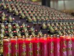 -龙口南山旅游景区