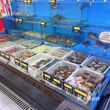 在大连开了20多年了，羊肉小串绝对和别人家不一样