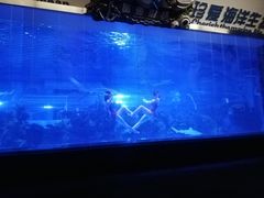 -成都浩海立方海洋公园
