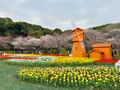 -苏州上方山国家森林公园