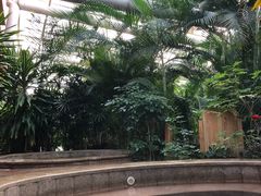 -南宫温泉水世界