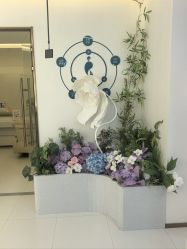 -头道汤头疗养生馆