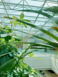 -上海明天广场JW万豪酒店·宴会厅