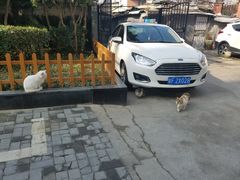 -巴黎贝甜(五月花广场店)