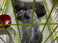 -三旗百汇商品城