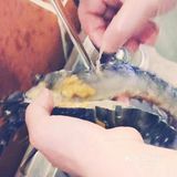 就喜欢这一口、就爱这个味[调皮]