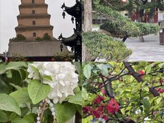 -大慈恩寺(大雁塔)