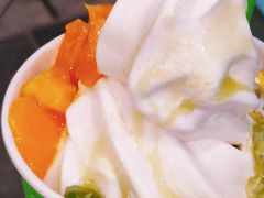 -Salud撒露欧洲冻酸奶(蓝色港湾店)