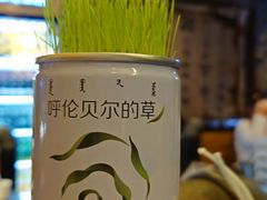 -很久以前羊肉串(打浦路店)