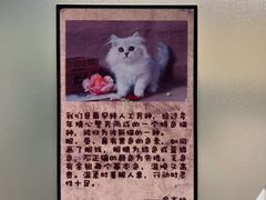 -猫咪博物馆(顶澳仔猫街店)