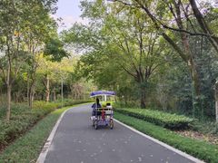 -昆山城市生态森林公园