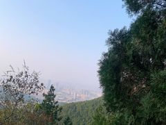 -佛慧山