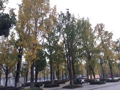 -百林公园-两江幸福广场