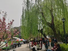 -莲湖公园