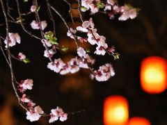 -铁像寺水街