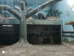 -石家庄市动物园