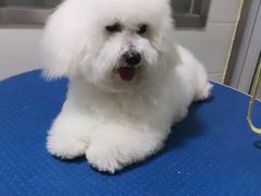 -佳雯宠物医院(金华南路分院)