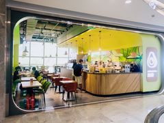 -油梨树AVOCADO TREE(望京店)