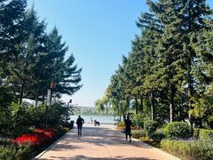 -长春市南湖公园