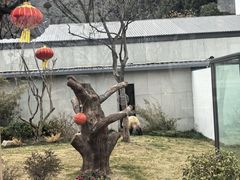 -无锡动物园·太湖欢乐园