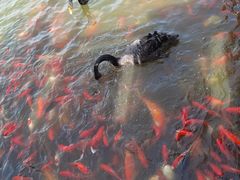-卧龙湖