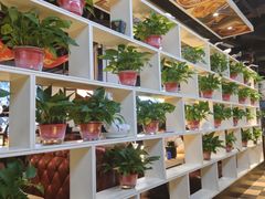-小柴米·传统江西菜(八一广场店)