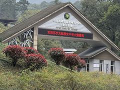 -中国大熊猫保护研究中心雅安碧峰峡基地