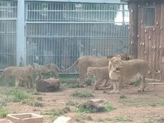 -昆明动物园