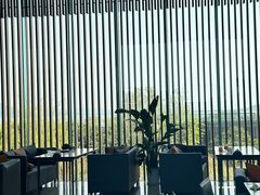 -西京湾花海