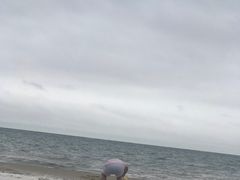 -碧海银沙海鲜餐厅(恒大海上威尼斯店)