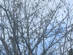 -呀诺达热带雨林