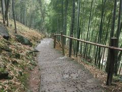 下山路略陡-藏龙百瀑风景区