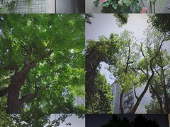 -谷咖啡·鲜花绿植花园餐厅