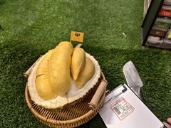 -都念榴莲·城市榴莲