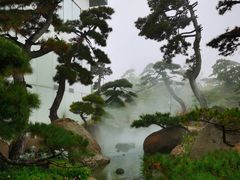 -罗红摄影艺术馆