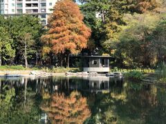 -四海公园(南山区)