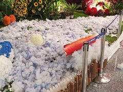 -河内内排国际机场