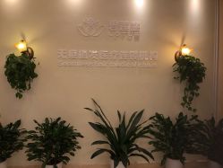 -碧莲盛·不剃发植发