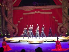 -珠海横琴长隆《卡卡虎奇遇记》