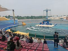 -秦皇岛乐岛海洋王国