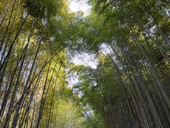 -苏州环秀晓筑养生度假村