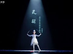 -武汉音乐学院徐东基地