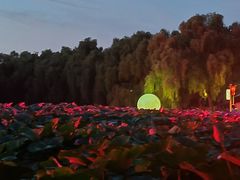 -北陵公园